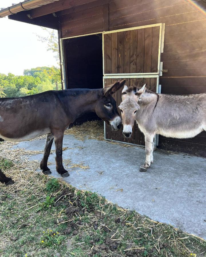 Willa La Ferme Saint Pierre De Glabais Genappe Zewnętrze zdjęcie
